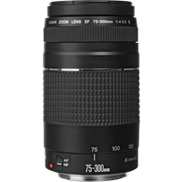 Koop Canon EF 75-300mm f/4.0-5.6 - 4960999214078