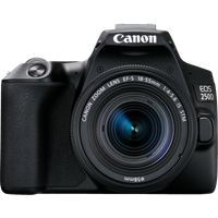 Koop Canon EOS 250D + 18-55 IS STM - 4549292132717