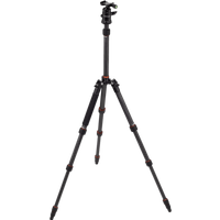 Koop Rollei Compact Traveler No. 1 Carbon - 4048805225781