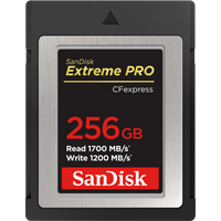 Koop SanDisk Extreme Pro 256GB CFexpress Type B - 0619659180843